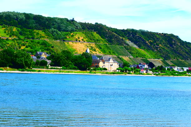 istock Rhine vally with vineyards 1164198838