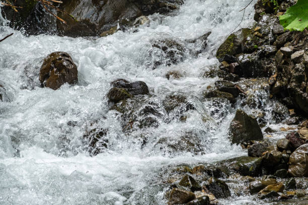 istock A powerful mountain stream flows down from the rocks and stones. 1164199798