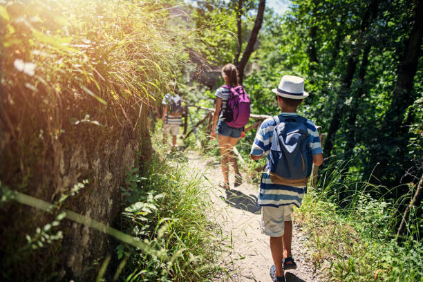 istock Family hiking in summer 1164202551