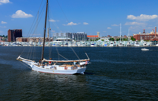 Clipper and brown fleet charter ship sailing on IJsselmeer lake in the Netherlands on a sunny summer day