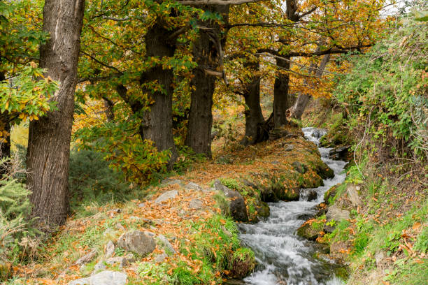 istock Sierra Nevada natural park,Spain. 1164208158