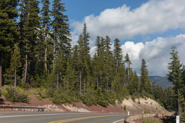 istock Forest and creek in Oregon 1164211183