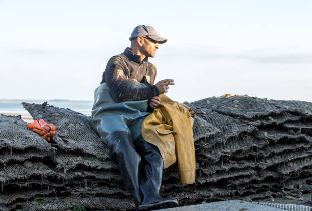 ein arbeiter, der auf säcken mit austern auf einer fischfarm in cancale sitzt. bretagne, frankreich - ebb tide stock-fotos und bilder