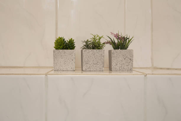 istock Tree little green house plants in ceramic pots white shiny wall 1164214310