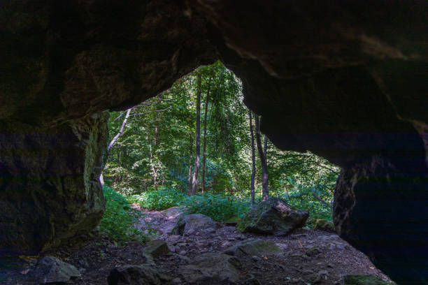 istock Cave to the Woods 1164216519