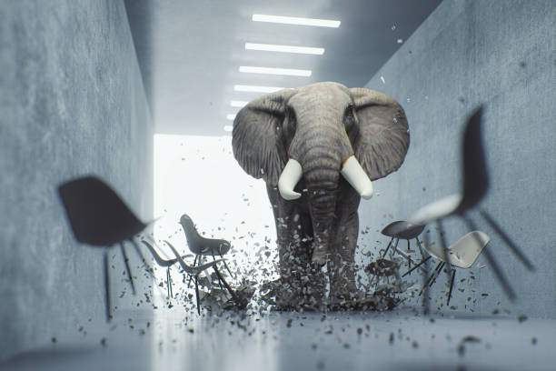 Angry elephant in the office Angry elephant in the office. This is entirely 3D generated image. threats photos stock pictures, royalty-free photos & images