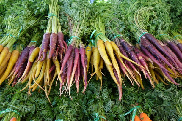 istock Purple and Ivory colored carrots on retail display 1164219778