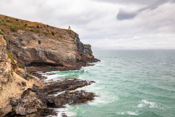 istock lighthouse at Taiaroa Head New Zealand 1164220084