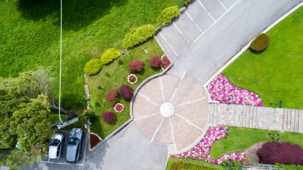 istock Drone aerial view of a park 1164220892
