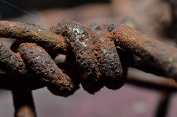 Various materials made of iron are corroded. Corrosion or rusting process is an electro chemical process. In the process of rusting, iron acts as a reducing agent and the oxygen dissolved in water acts as an oxidizer. Corrosion or rusting metals are brittle, soluble, and mixed with other metals.