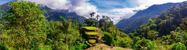 vista ad alto angolo di ciudad perdida (città perduta) nelle montagne della sierra nevada in colombia - scale insect foto e immagini stock