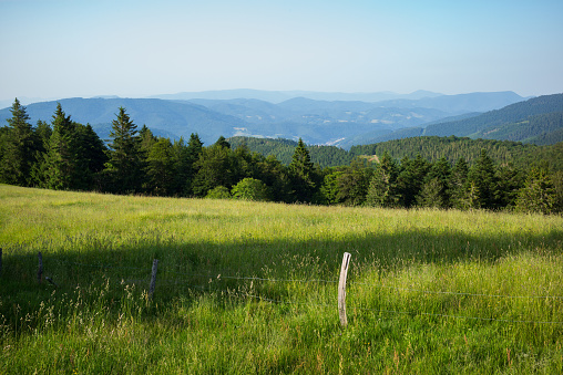 This photo was taken in France, in Alsace, in the Vosges near Colmar. There is a meadow with grass, a barbed wire fence, forests and mountains in the distance.