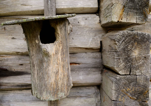 old wooden nest box on a house wall