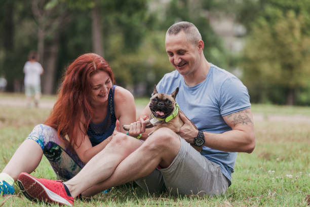 istock Meeting Friend's Dog For The First Time 1164226838