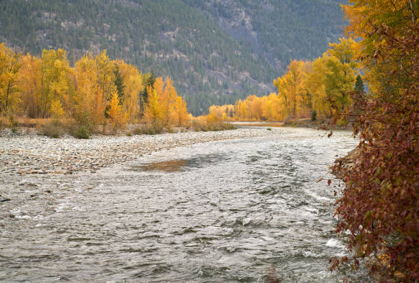 couleurs d'automne de la rivière similkameen - similkameen river photos et images de collection