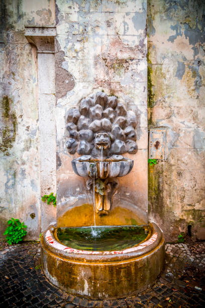 istock Villa Borghese Gardens in Rome 1164229339