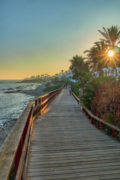 istock Wooden bridge over beach 1164230762