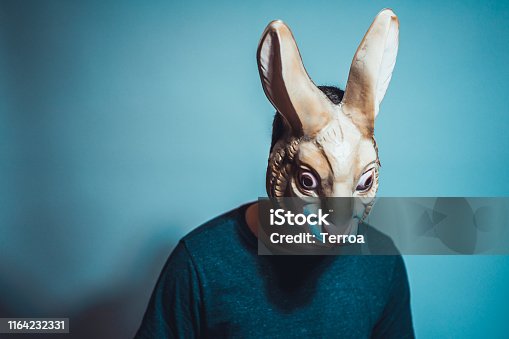 Molester Vrijwel Bediende 4,600+ Bunny Mask Stock Photos, Pictures & Royalty-Free Images - iStock |  Leather bunny mask, Easter bunny mask