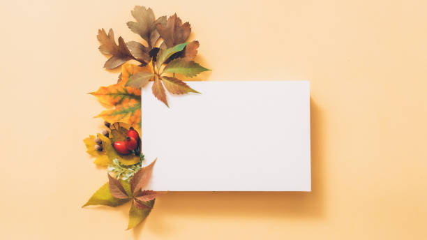 istock autumn greeting card white paper peach background 1164233765