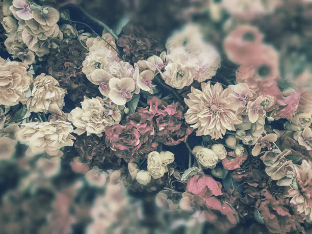istock artificial flowers wall background with vintage style 1164234142