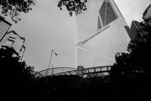 istock office building closeup and tree, business concept; black and white style 1164234146