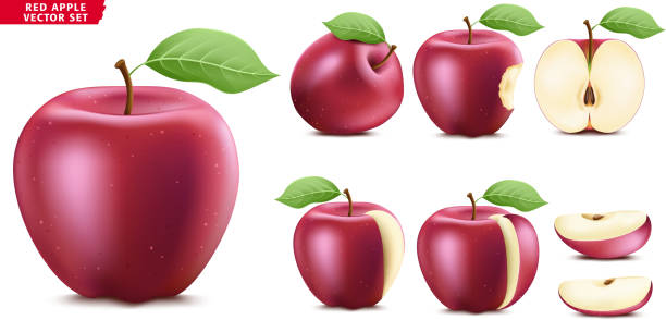 ilustrações, clipart, desenhos animados e ícones de jogo realístico maduro do vetor do alimento 3d da fruta vermelha de apple. metade inteira e versão cortada - apple missing bite fruit red
