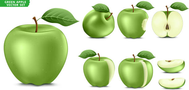 Green Apple Fruit Ripe Realistic 3D Food Vector Set. Whole Half and Sliced Version Green Apple Fruit Ripe Realistic 3D Food Vector Set. Whole Half and Sliced Version In Isolated White Background green apple slice stock illustrations