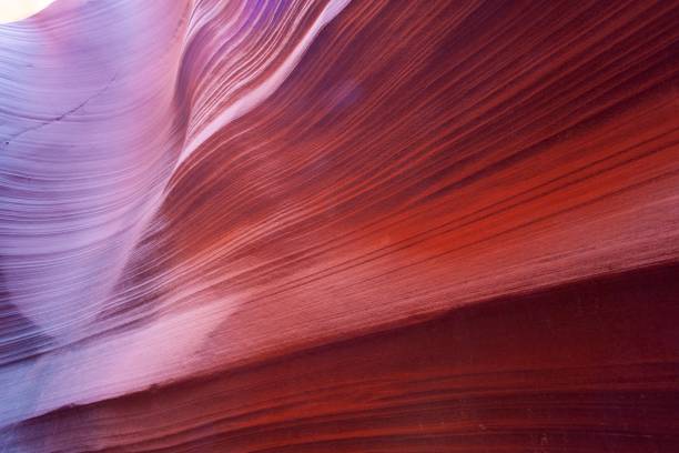 rattlesnake canyon arizona (en arizona) - rattlesnake photos et images de collection