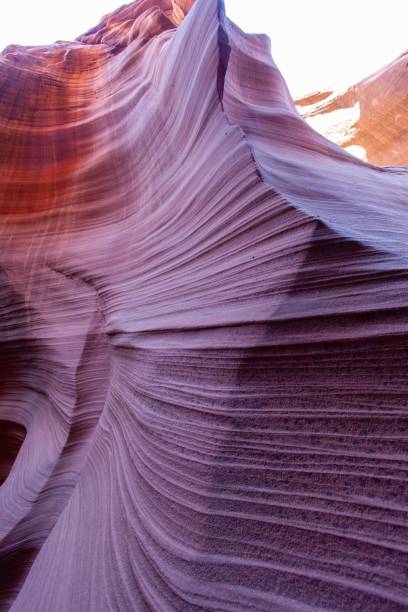 rattlesnake canyon arizona (en arizona) - rattlesnake photos et images de collection