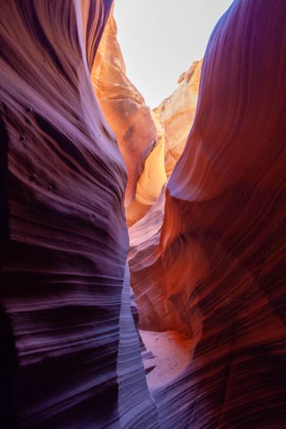 rattlesnake canyon arizona (en arizona) - rattlesnake photos et images de collection