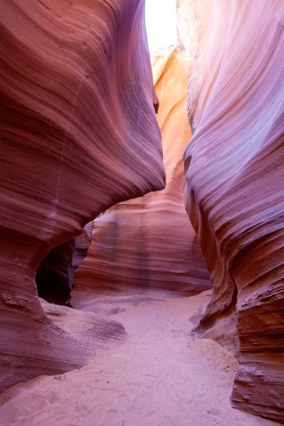 rattlesnake canyon arizona (en arizona) - rattlesnake photos et images de collection