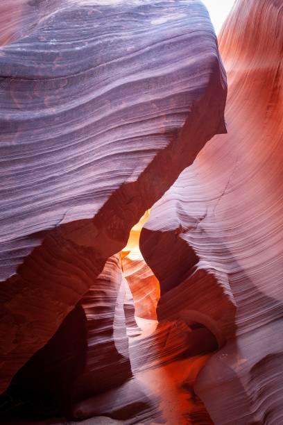 rattlesnake canyon arizona (en arizona) - rattlesnake photos et images de collection