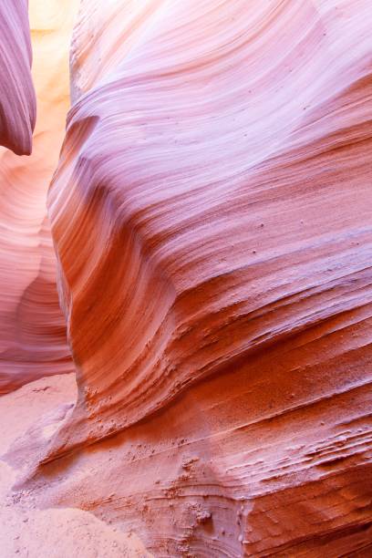 rattlesnake canyon arizona (en arizona) - rattlesnake photos et images de collection