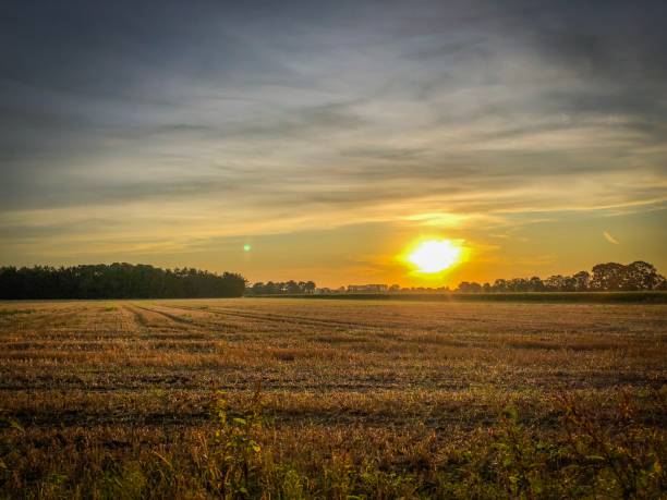istock A beautiful landscape view in a setting sun in Germany 1164238127