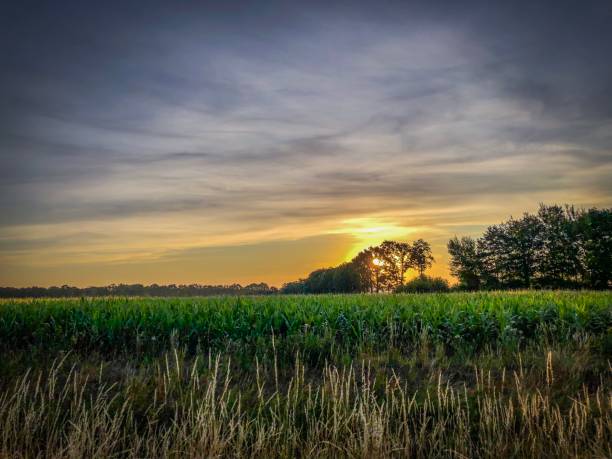 istock A beautiful landscape view in a setting sun in Germany 1164238151