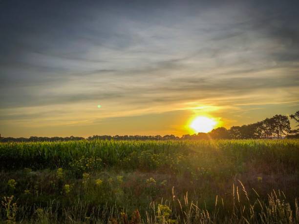 istock A beautiful landscape view in a setting sun in Germany 1164238171