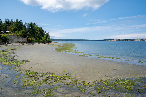 View of the shoreline near the Coupeville Wharf on Whidbey Island in Washington State at low tide