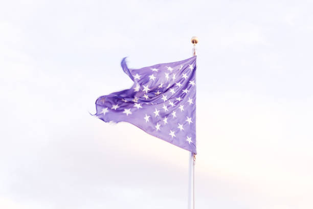 istock USA Flag Blue with White Stars 1164241365