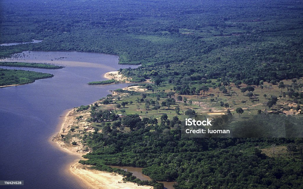 Amazonian 장면 - 로열티 프리 0명 스톡 사진