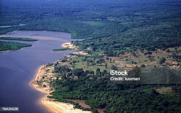 Amazonian 장면 0명에 대한 스톡 사진 및 기타 이미지 - 0명, 강, 거리가 먼