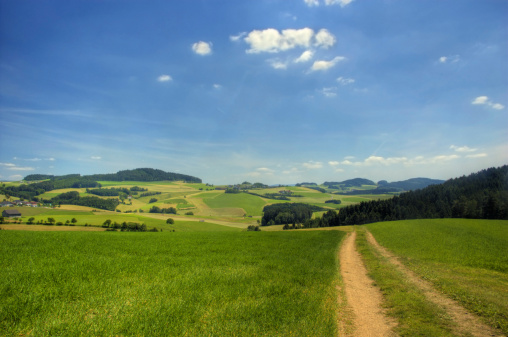 Small path in upper austria