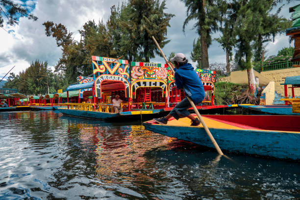 Young trajinero rows the trajinera into Xochimilco channel Xochimilco, Mexico City, June 25, 2019 - Young trajinero leads and rows the trajinera into Xochimilco canal. trajinera stock pictures, royalty-free photos & images