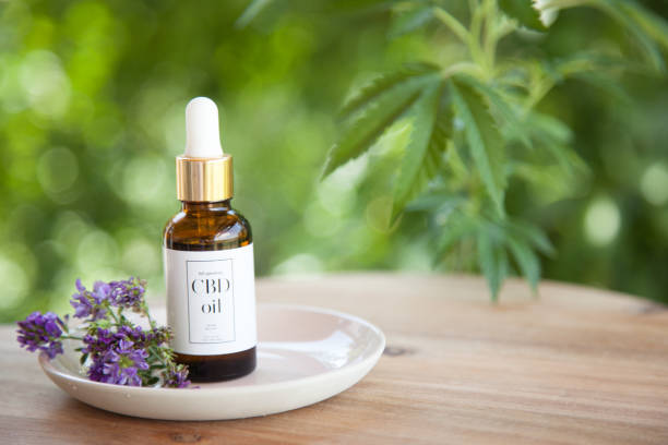 CBD Cannabis Oil (cannabidiol) bottle and dropper on small pink plate. CBD Cannabis Oil (cannabidiol) bottle and dropper on small plate atop wooden surface. Fresh flowers on plate. Cannabis plant out of focus in background. cannabis sativa photos stock pictures, royalty-free photos & images