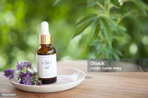 Cbd Cannabis Oil Bottle And Dropper On Small Pink Plate Stock Photo - Download Image Now