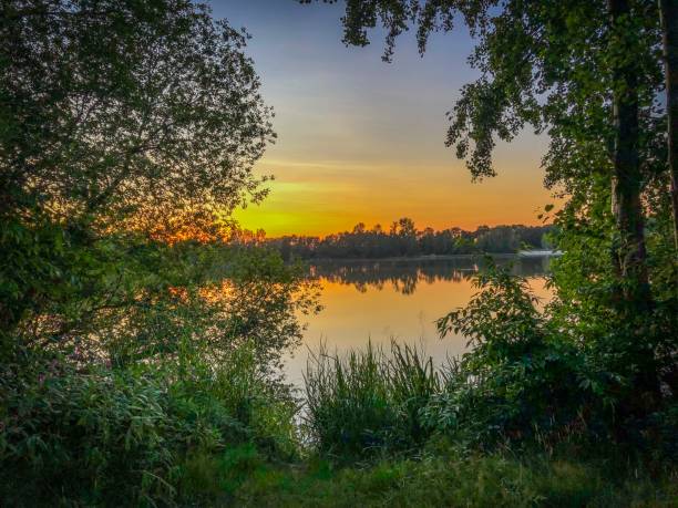 istock Beautiful view through trees on a wonderful lake in the setting sun 1164245688