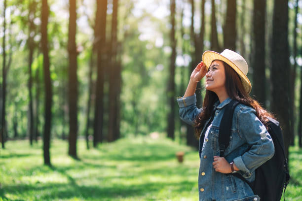 istock female traveler with a hat and backpack looking into a beautiful pine woods 1164246748
