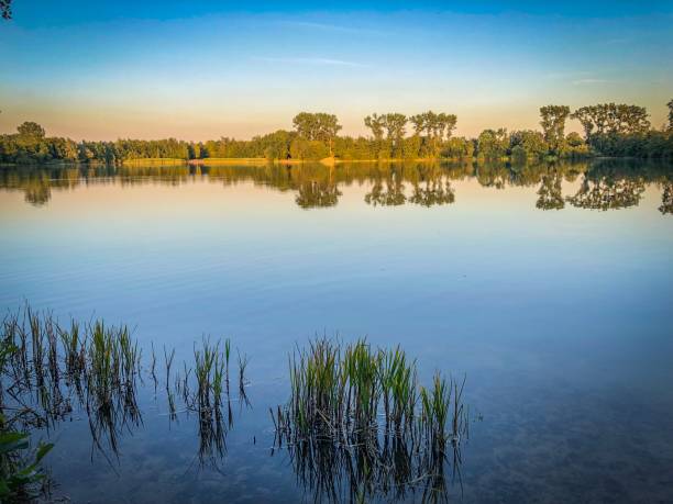 istock A beautiful lake in the setting sun with some water plants 1164250513