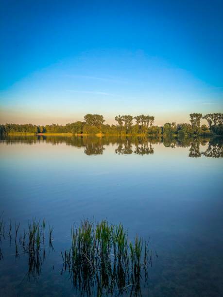 istock A beautiful lake in the setting sun with some water plants 1164251061