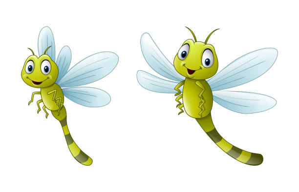 Dragonfly Cartoon Stock Photos, Pictures & Royalty-Free Images - iStock