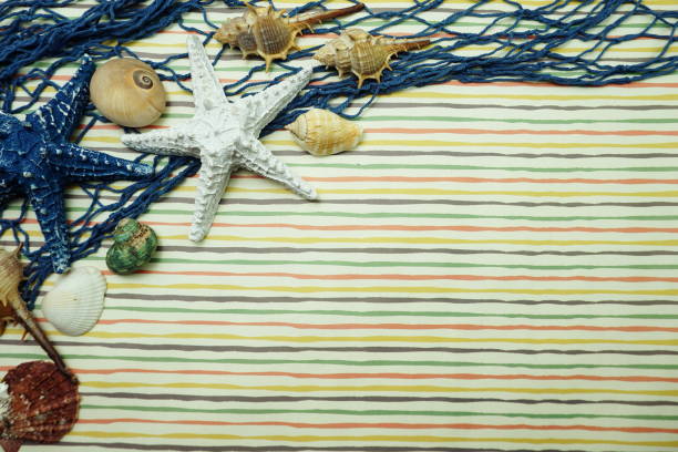istock Summer background with starfish and seashell nautical marine decoration 1164253185